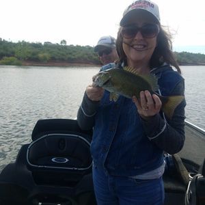 Meet your Posher, Danelle